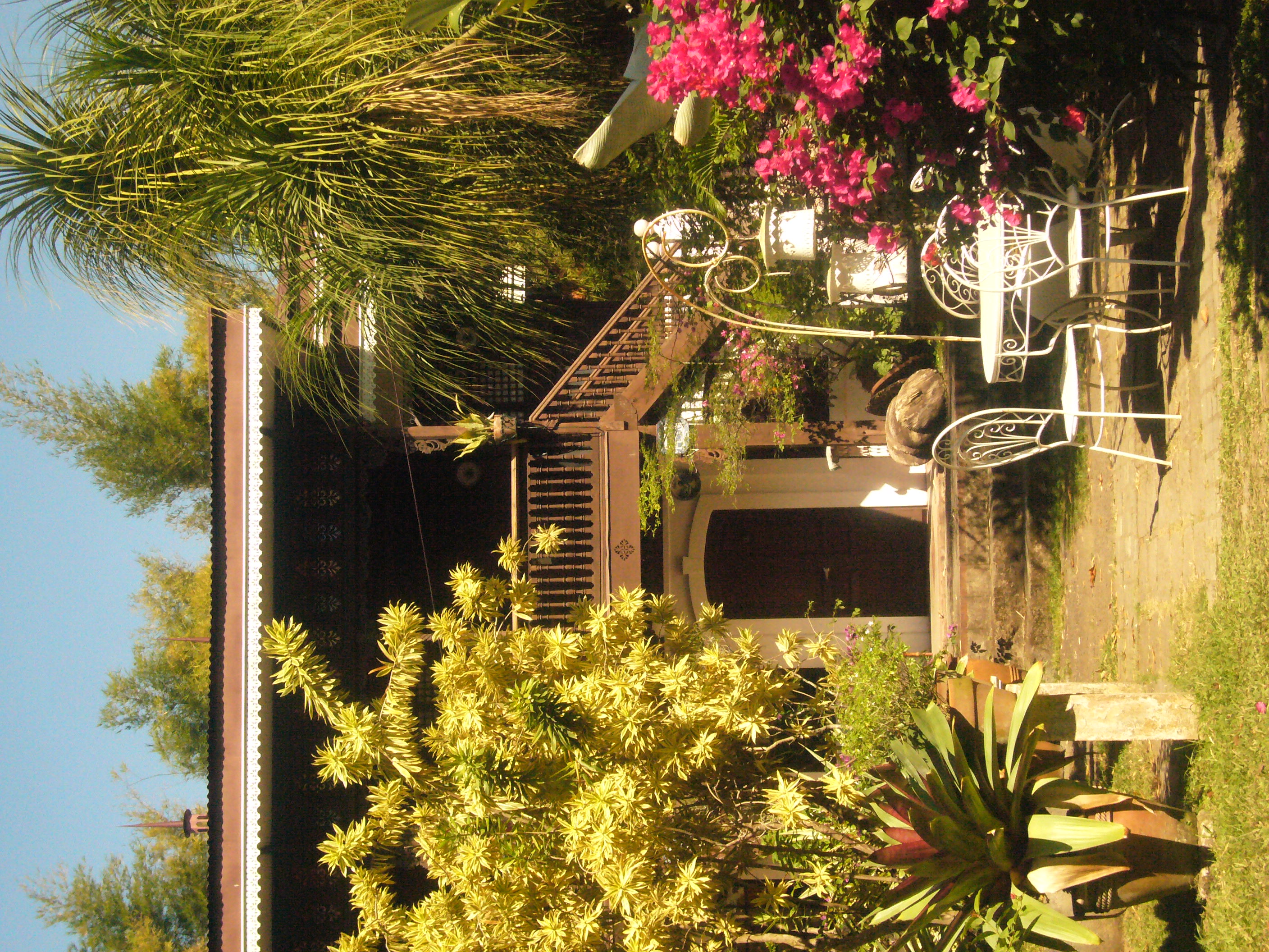 Garden patio surrounded by plants